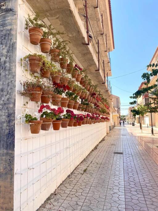 Casa Naranja Villa Los Alcázares Exteriör bild
